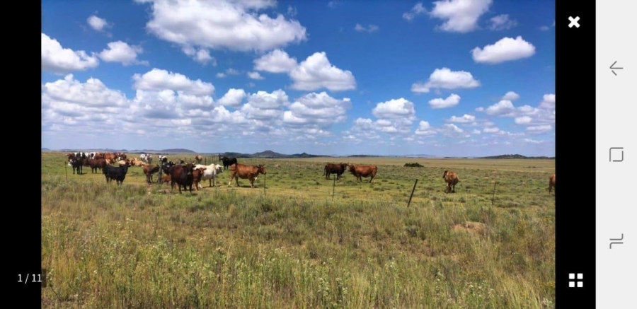 0 Bedroom Property for Sale in Reddersburg Free State